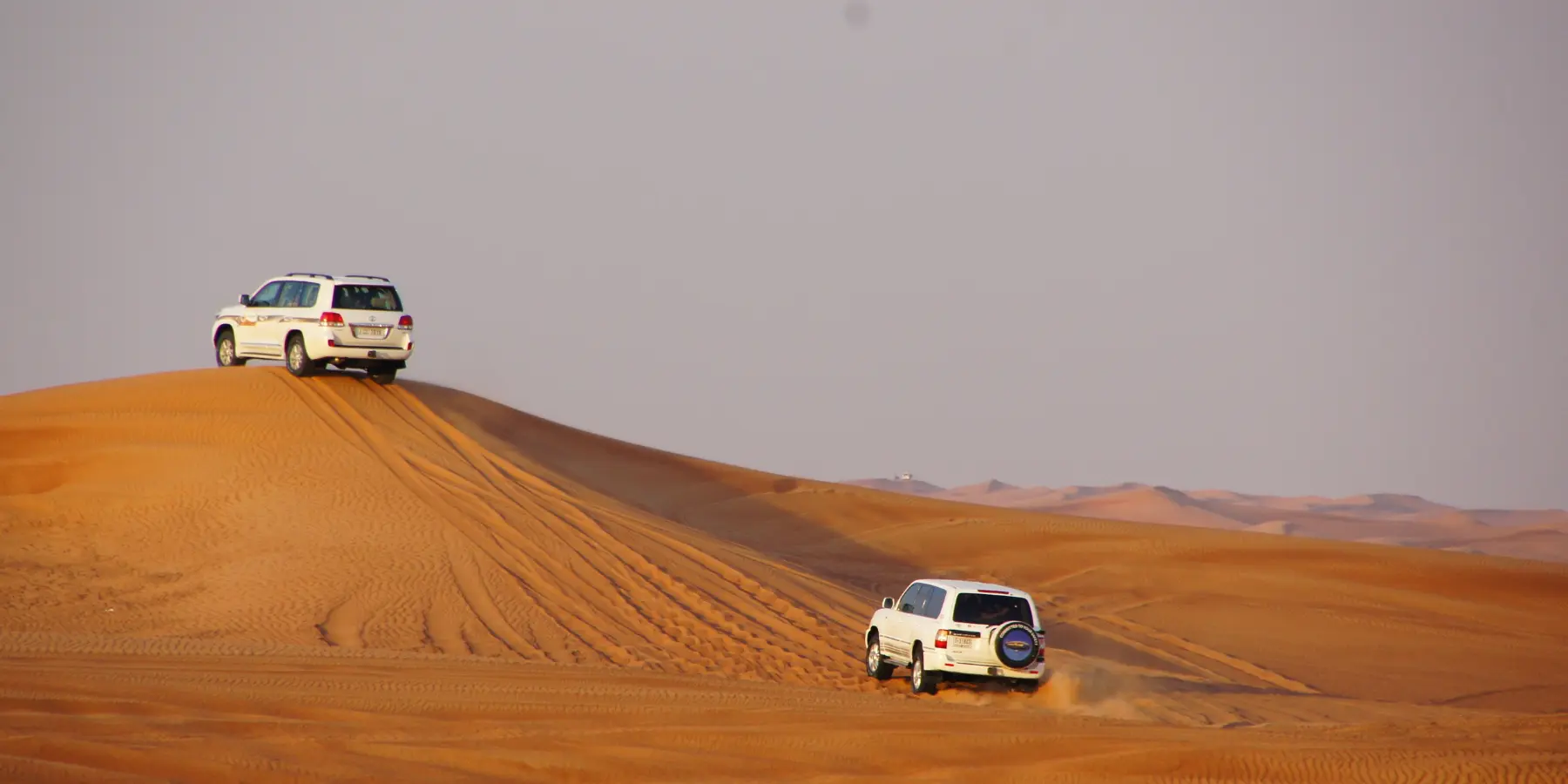 Evening Desert Safari<br />
